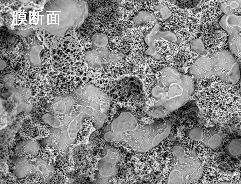 人生就是搏烧结管式膜电镜照片 人生就是搏烧结管式膜电镜照片