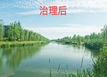 人生就是搏(中国区)官方网站